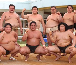 力士たちからのメッセージ